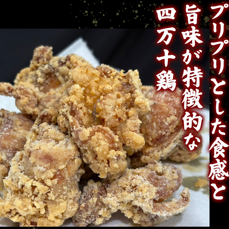 鶏肉 もも むね 1.2kg 8人前 ブランド鶏 四万十鶏 特製たれ漬け 大容量 ヘルシー セット 唐揚げ から揚げ からあげ用 高知県 須崎市