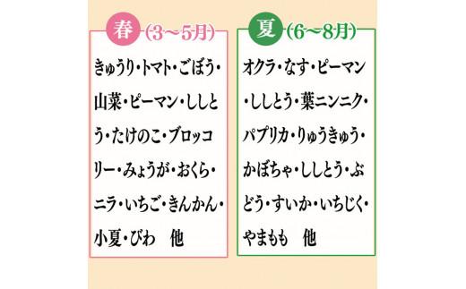 【 定期便 6回 】 野菜 果物 セット 10 から 13 種類 | お楽しみ やさい くだもの フルーツ 果物 セット 旬 春 夏 秋 冬 採れたて 新鮮 農家 直送 詰め合わせ 国産 季節 フレッシュ きゅうり ピーマン なす トマト 大根 白菜 頒布会 高知県 須崎市 ME2000_x