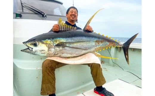 釣り船 貸し切り カツオ キハダ キャスティングプラン 平日限定 鰹 キハダマグロ シイラ 釣り券 チャーター フィッシング 釣り 釣り体験 ヨシノマリーナリゾート 高知 須崎市 YMR003