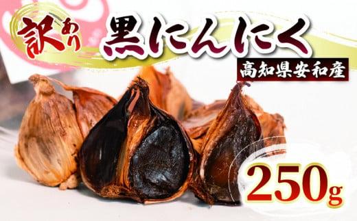 【早期予約】 訳あり 黒にんにく250g  あわ地区 野菜 高知 須崎