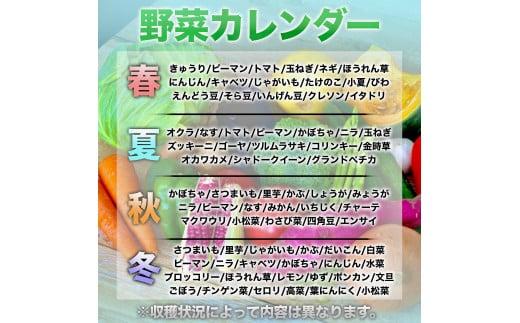 定期便 3回 3ヶ月 旬 野菜 詰め合わせ セット 12~13品目程度 やさい 毎月 届く 産地直送 あわ地区 旬の野菜 ベジタブル キット 季節野菜 高知 須崎 国産 人気 頒布会 AWA1000
