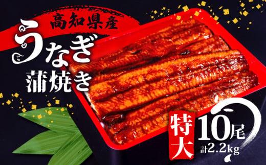 高知県産 うなぎ 蒲焼 220g×10尾 セット 養殖 鰻 うなぎ 蒲焼き かば焼き かばやき 惣菜 冷凍 真空パック 簡単調理 ME0092
