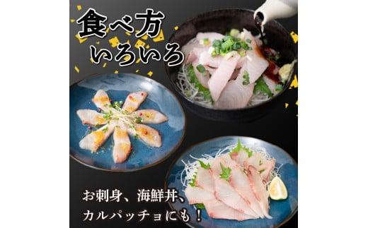 【急速冷凍】 鮮度抜群！かつおのタタキとカンパチ セットと塩1袋 NS026 かつお カツオ 鰹 勘八 環八 かんぱち カンパチ 塩 海鮮 魚介 瞬間 冷凍 高知県 須崎市