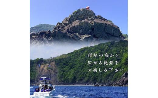 クルージング ツアー体験 スイーツ付き 貸切 1〜10名 プライベート 横浪半島 絶景 体験  記念 ギフト プレゼント チャーター クルーズ ツアー 海 リフレッシュ マリンスポーツ 体験ツアー 高知 須崎市 YMR001