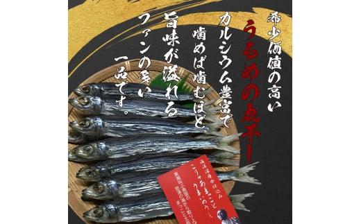 うるめの丸干し(ソフト) 10パック 鰯 煮干し 真いわし 真鰯 稚魚 おやつ 乾物 魚介 加工品 ウルメ 丸宮 宮本 商店 土佐 海洋深層水 ミネラル 高知県 須崎市  MMY046