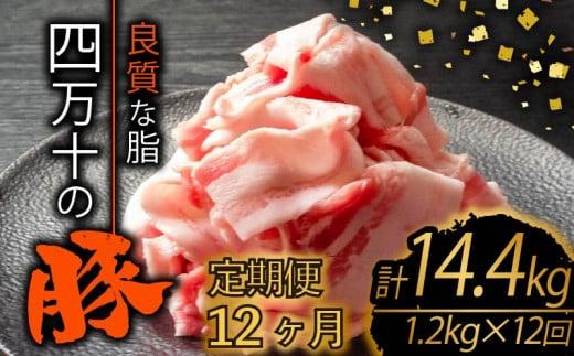 【定期便12回】四万十ポークスライス 計14.4kg（1.2kg×12ヶ月連続お届け) 2Gコース | 豚肉 豚バラ肉 小分け 小間切れ スライス 切り落とし 冷凍 真空パック 簡単調理 細切れ 大容量 肉 高知県 須崎市 TM35000