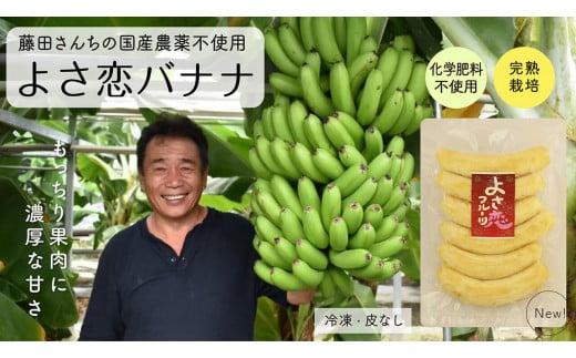 無農薬 冷凍 バナナ パック 800g 国産 藤田さんちの無農薬バナナ 化学肥料不使用 高知県 須崎市