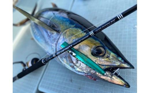 釣り船 貸し切り カツオ キハダ キャスティングプラン 平日限定 鰹 キハダマグロ シイラ 釣り券 チャーター フィッシング 釣り 釣り体験 ヨシノマリーナリゾート 高知 須崎市 YMR003