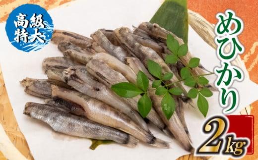 【高級】特大めひかり 2kg メヒカリ 干物 寒風 天日干し 魚 カルシウム 冷凍 産地直送 ご飯のお供 漁師 おつまみ 高知県 須崎市 TKM025