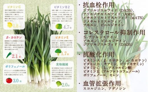 泣く子も黙る！藁焼きブリぬたセット | ギフトセット 化粧箱入り 鰤  タタキ