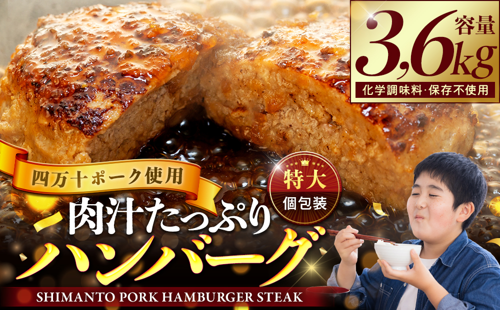 ハンバーグ 四万十ポーク 入り 3.6kg ( 200g × 18個 ) 冷凍 真空 小分け 個包装 肉汁 たっぷり 大容量 大きめ 合挽き 牛肉 豚肉 保存料 不使用 ビーフ ポーク 合いびき肉 挽肉 ジューシー お弁当 おかず 惣菜 晩ごはん 贅沢 ギフト 贈り物 贈答 