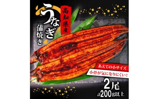 高知県産 養殖 うなぎ 蒲焼 100g〜120g × 2尾 セット タレ付き 贈答 養殖 肉厚 鰻 土用丑の日 敬老の日 高知県 須崎市