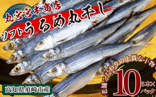 うるめの丸干し(ソフト) 10パック 鰯 煮干し 真いわし 真鰯 稚魚 おやつ 乾物 魚介 加工品 ウルメ 丸宮 宮本 商店 土佐 海洋深層水 ミネラル 高知県 須崎市  MMY046
