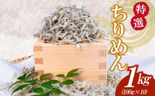 【特選】かちり 1kg(100g×10) 逸品 上干 ちりめん じゃこ しらす 小分け 魚 冷凍 産地直送 ご飯のお供 ふりかけ 漁師 おつまみ 高知県 須崎市 TKM020