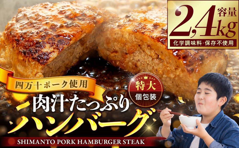 ハンバーグ 四万十ポーク 入り 2.4kg ( 200g × 12個 ) 冷凍 真空 小分け 個包装 肉汁 たっぷり 大容量 大きめ 合挽き 牛肉 豚肉 保存料 不使用 ビーフ ポーク 合いびき肉 挽肉 ジューシー お弁当 おかず 惣菜 晩ごはん 贅沢 ギフト 贈り物 贈答 SNM001-1