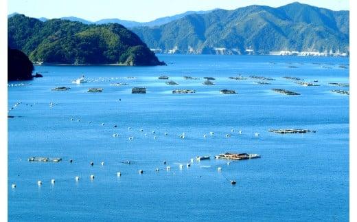 地酒 本醸造酒 ｢金凰司牡丹｣ 特別本醸造酒 ｢須崎｣ 1.8L  2本セット TH0291