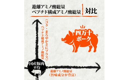 【12ヶ月連続】四万十ブランド 鶏肉1kg 豚肉900g（計1.9kg×12回) 22.8kg 12回定期便 6Gコース｜ 四万十ポークスライス 四万十ポーク 豚バラ肉 小分け 小間切れ スライス 切り落とし 冷凍 真空パック 細切れ 切身 カット 一口大 カット済み  四万十鶏 鳥肉 とりにく 鶏もも 国産 ブランド 唐揚げ 煮物 鍋 チキン 高知県 須崎市 TM139000