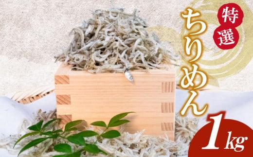 【特選】かちり 1kg 逸品 上干 ちりめん じゃこ しらす 魚 冷凍 産地直送 ご飯のお供 ふりかけ 漁師 おつまみ 高知県 須崎市 TKM019