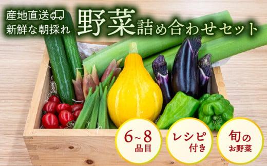 野菜 セット 6 〜 8品目 詰め合わせ レシピ 付き 産地直送 高知県 須崎市 新鮮野菜  新玉ねぎ そら豆 スナップえんどう 春キャベツ フルーツトマト みょうが ズッキーニ オクラ かぼちゃ すじなし豆 トマト 空心菜 さつま芋 栗 秋豆 ぶしゅかん しょうが 金時しょうが チャーテ キク芋 赤大根 かぶ カリフラワー 芽キャベツ 旬 人気 ふるさと納税野菜 野菜セット