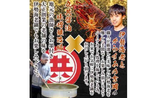 お手軽伊勢海老鍋セット 専用出汁&シメ用味噌付き 700g以上 冷凍 ( 特大サイズ 急速冷凍 えび エビ 高級 鮮魚 海鮮 魚介 刺身 焼き物 汁物 ギフト 贈答 贈り物 祝い 歳暮 中元 年末 年始 早期 予約 ) IKY084