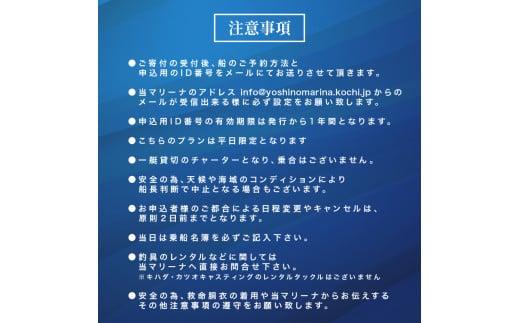 釣り船 貸し切り カツオ キハダ キャスティングプラン 平日限定 鰹 キハダマグロ シイラ 釣り券 チャーター フィッシング 釣り 釣り体験 ヨシノマリーナリゾート 高知 須崎市 YMR003
