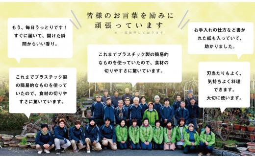 ひのき まな板 400×200×20mm まな板 一枚板 極め 須崎 高知 TR020