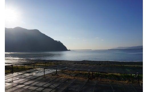 æ¬ãããã¿ æ¥ ïŒ» é«çŽçå³ ïŒœ 150g ä»¥äž å®®é²ååºè¬¹è£œ å墚 é«çŽ çå³ é
ã®èŽ ã€ãŸã¿ éåµ é«ç¥ åœç£ æ¥æ¬é
çšæ èŽç MS016