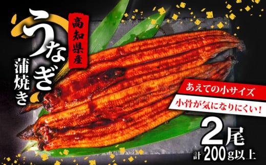 高知県産 養殖 うなぎ 蒲焼 100g〜120g × 2尾 セット タレ付き 贈答 養殖 肉厚 鰻 土用丑の日 敬老の日 高知県 須崎市
