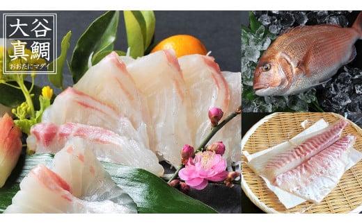 魚 刺身 セット タイ カンパチ 鯛 勘八 高級 葉 にんにく 調味料 タレ付き セット 有機栽培 健康食品 高知県産 須崎市