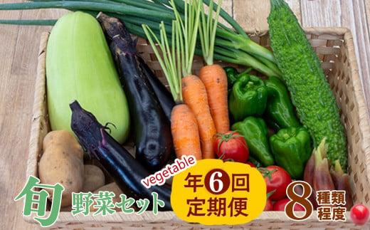 【 定期便 6回 】 野菜 8 種類 セット | お楽しみ やさい セット 旬 春 夏 秋 冬 採れたて 新鮮 農家 直送 詰め合わせ 国産 季節 フレッシュ きゅうり ピーマン なす トマト 大根 白菜 頒布会 高知県 須崎市 ME3000_x