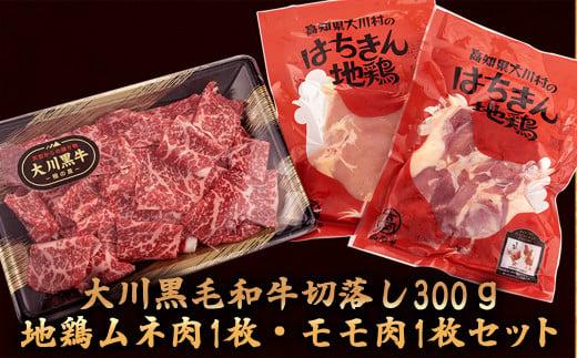 肉 牛肉 国産 黒毛 和牛 切り落とし 300g 鶏肉 もも むね お得 パック 詰め合わせ 土佐はちきん地鶏 希少 幻の大川黒毛和牛 ブランド鶏 土佐はちきん地鶏 高知県 須崎市