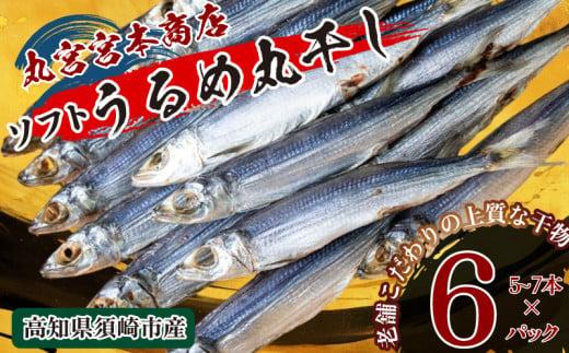 うるめの丸干し(ソフト) 6パック 鰯 煮干し 真いわし 真鰯 稚魚 おやつ おつまみ ウルメイワシ  乾物 干物 ひもの魚介 加工品 ウルメ 丸宮 宮本 商店 土佐 海洋深層水 ミネラル 高知県 須崎市 MMY045
