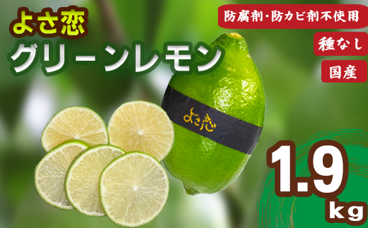 種無し よさ恋グリーンレモン 10~12個入 約1.9kg 家庭用 レモン 防腐剤 不使用 レモン 檸檬 国産 新鮮 国産檸檬 国産レモン 果物 くだもの 希少 高級 健康 フルーツ 産地直送 数量限定 高知県 須崎市