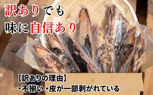 èçŒããã€ãã¿ã¿ã 500g ãã€ãã®ããã ããçŒã é«ç¥ èš³ãã äžæã å·å ç空 å°åã åå
è£
ãã€ãŸã¿ ããã æ£è æ©ãã¯ã å å·¥å ã«ã㪠鰹 åºèº« é é«ç¥ç é åŽåž