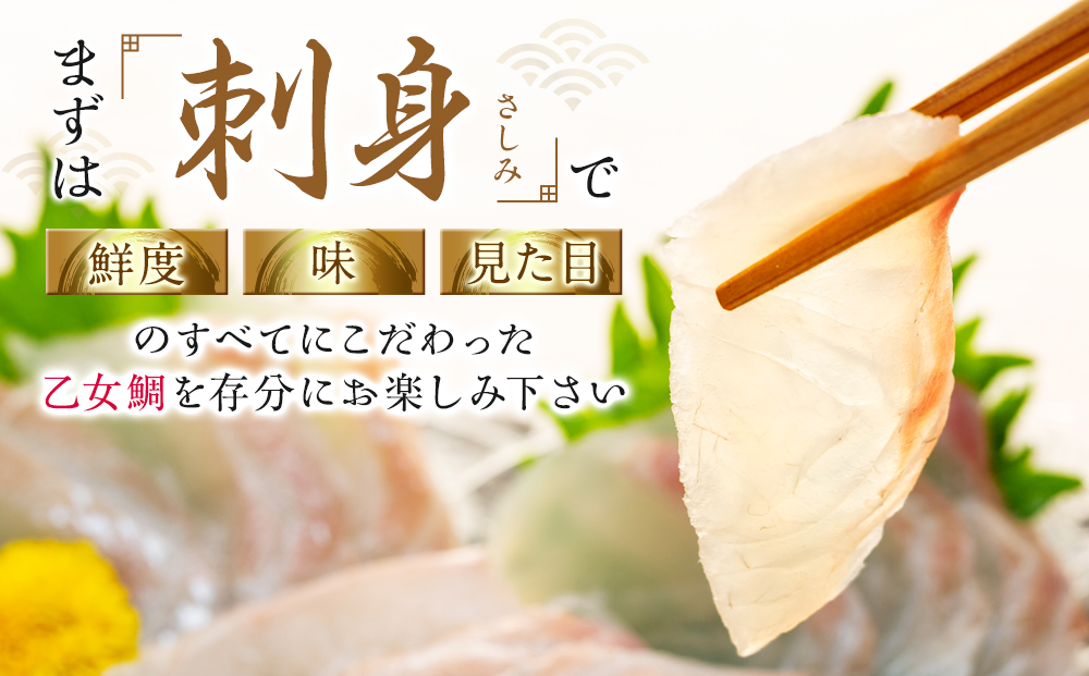 本場須崎のブランド鯛 ｢ 乙女鯛フィーレ ｣ アラ付き 2尾 セット 約2kg 冷蔵 刺身 お刺し身 タイ 鯛 高級魚 鮮魚 海鮮 魚介 煮付け アラ汁 高知県 須崎市 魚 マダイ 真鯛