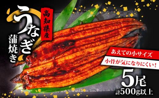 高知県産 養殖 うなぎ 蒲焼 100g〜120g×5尾 セット タレ付き 贈答 養殖 肉厚 鰻 土用丑の日 敬老の日 高知県 須崎市