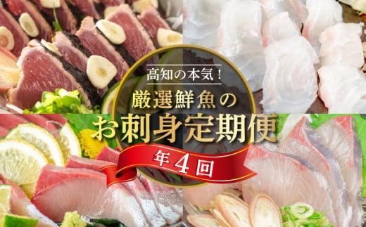 刺身 定期便 4ヶ月 小島水産 がお届けする！ 美味しい お刺身 （ 鮮魚 下処理済 ） 産地直送 4回（ カンパチ カツオ 鯛 ブリ ）  新鮮 定期 刺身 魚貝 かんぱち 勘八 鰹 かつお カツオのタタキ 鰹のたたき マダイ 真鯛 タイ 鰤 高知県 須崎市 頒布会 KS7000-2x