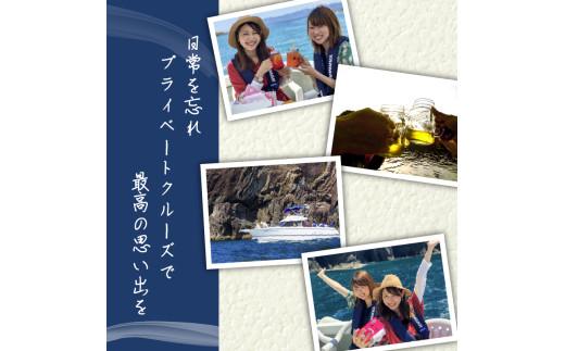 クルージング ツアー体験 スイーツ付き 貸切 1〜10名 プライベート 横浪半島 絶景 体験  記念 ギフト プレゼント チャーター クルーズ ツアー 海 リフレッシュ マリンスポーツ 体験ツアー 高知 須崎市 YMR001