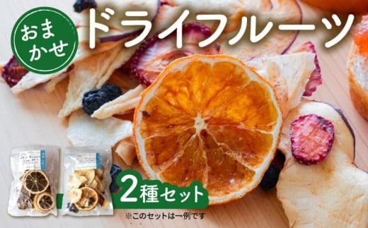 ドライフルーツ おまかせ ２種 セット 手作り 無添加 旬 フルーツ 果物 次郎柿 柿 ブラッドオレンジ みかん レモン いちご ブルーベリー 新高梨 梨 なし りんご TJ0081