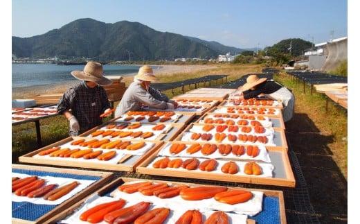本からすみ 100g 以上 ［ 高級珍味 ］ 須崎獲れ 釜揚げしらす 1kg セット 唐墨 高級 珍味 酒の肴 つまみ 魚卵 高知 国産 日本酒 熨斗 贈答 MS015