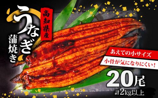 国産 高級 うなぎ 蒲焼 100g〜120g 計 20尾 セット タレ付き 贈答 養殖 肉厚 鰻 土用丑の日 敬老の日 高知県 須崎市