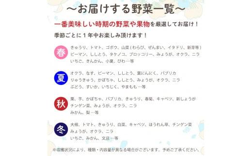 【 定期便 6回 】 野菜 8 種類 セット | お楽しみ やさい セット 旬 春 夏 秋 冬 採れたて 新鮮 農家 直送 詰め合わせ 国産 季節 フレッシュ きゅうり ピーマン なす トマト 大根 白菜 頒布会 高知県 須崎市 ME3000_x