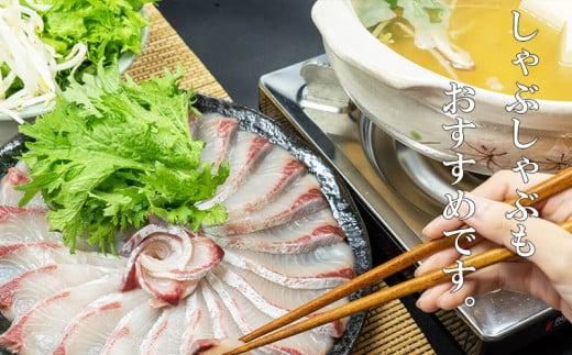 カンパチ 勘八 2節 セット | 極美勘八 人気 高級 魚 産地直送 新鮮 かんぱち しゃぶしゃぶ 鍋 照り焼き 刺し身 刺身 さしみ 生 冷蔵 高知県 須崎市