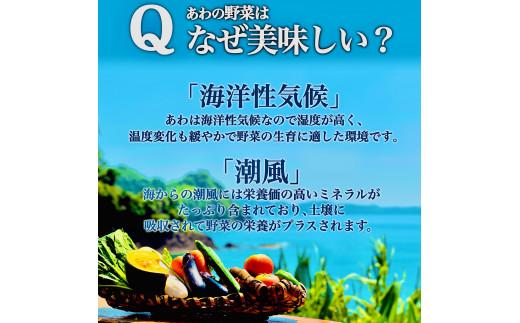 定期便 3回 3ヶ月 旬 野菜 詰め合わせ セット 12~13品目程度 やさい 毎月 届く 産地直送 あわ地区 旬の野菜 ベジタブル キット 季節野菜 高知 須崎 国産 人気 頒布会 AWA1000
