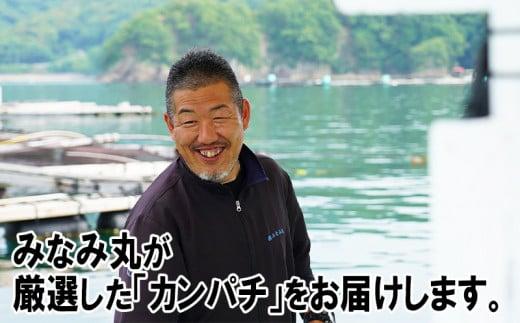 カンパチ 勘八 2節 セット | 極美勘八 人気 高級 魚 産地直送 新鮮 かんぱち しゃぶしゃぶ 鍋 照り焼き 刺し身 刺身 さしみ 生 冷蔵 高知県 須崎市