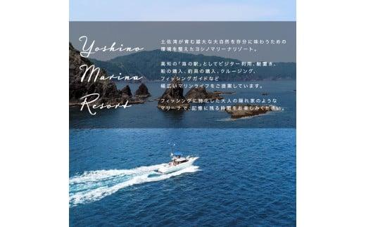 クルージング ツアー体験 スイーツ付き 貸切 1〜10名 プライベート 横浪半島 絶景 体験  記念 ギフト プレゼント チャーター クルーズ ツアー 海 リフレッシュ マリンスポーツ 体験ツアー 高知 須崎市 YMR001