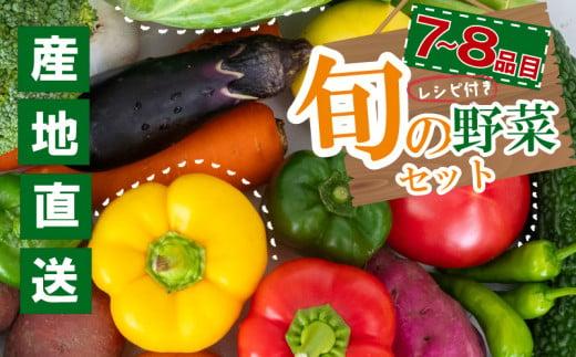季節の野菜セット 産地直送 朝採れ （7品 〜 8品 野菜 セット 詰め合わせ 特産 季節 旬 新鮮 彩 ベジタブル 高知県 須崎市  ） NPO020