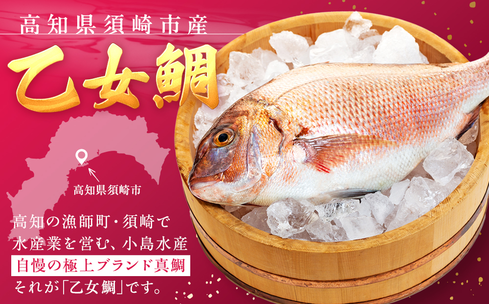 本場須崎のブランド鯛 ｢ 乙女鯛フィーレ ｣ アラ付き 2尾 セット 約2kg 冷蔵 刺身 お刺し身 タイ 鯛 高級魚 鮮魚 海鮮 魚介 煮付け アラ汁 高知県 須崎市 魚 マダイ 真鯛