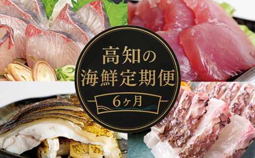 【 高知 の 海鮮 定期便 】 旬 海鮮定期便 6回 お楽しみ 高知 海鮮 かつお タタキ 鯛 タイ 勘八 カンパチ 牡蠣 カキ しらす シラス ウツボ うつぼ 貝 盛合 定期便 6回  半年 高級魚  魚貝 道の駅 高知県 須崎市 NS10000-x