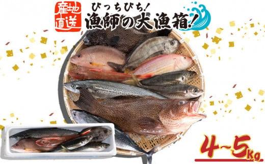 魚 鮮魚 ボックス 4kg〜5kg 旬 鮮度 抜群 おまかせ 詰め合わせ 海鮮 魚介 新鮮 高知県 須崎市 MT005